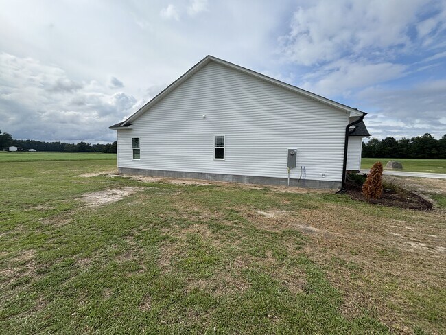 Building Photo - 193 Budd Godwin Ln
