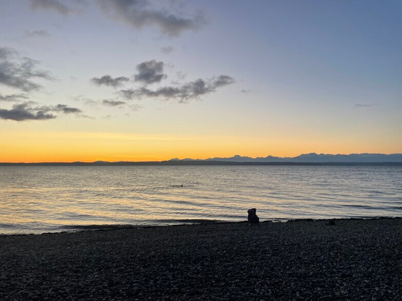 12 mins to Ballard beaches - 4345 4th Ave NW