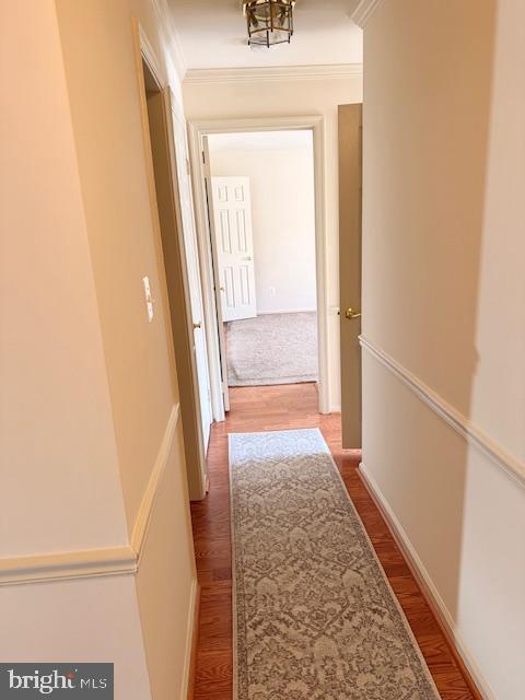Building Photo - 10714 Kings Riding Way
