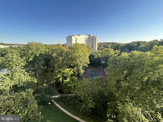 Building Photo - 10500 Rockville Pike