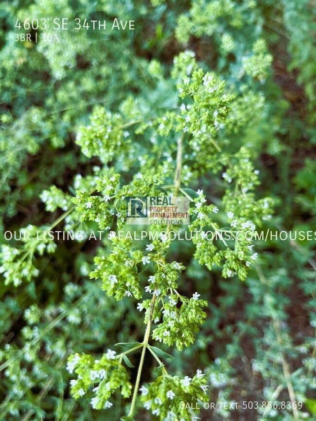 Building Photo - 4603 SE 34th Ave