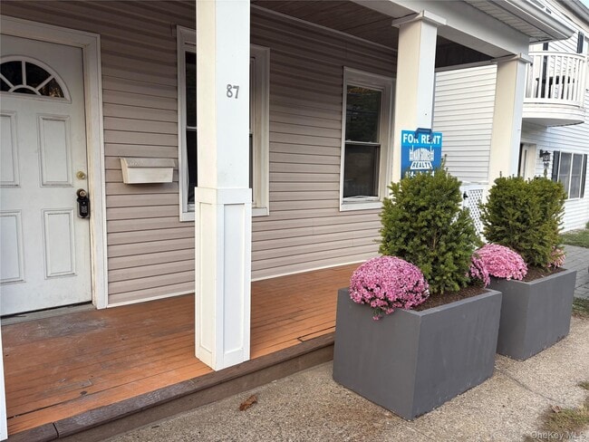 Primary Photo - 87 Ashford Ave