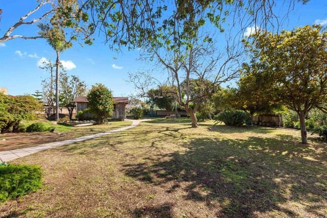 Building Photo - 513 Canyon Dr