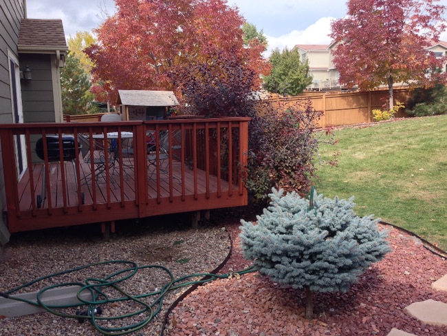 Building Photo - 9302 Wolfe Dr