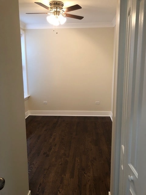 Building Photo - 839 W Cornelia Ave