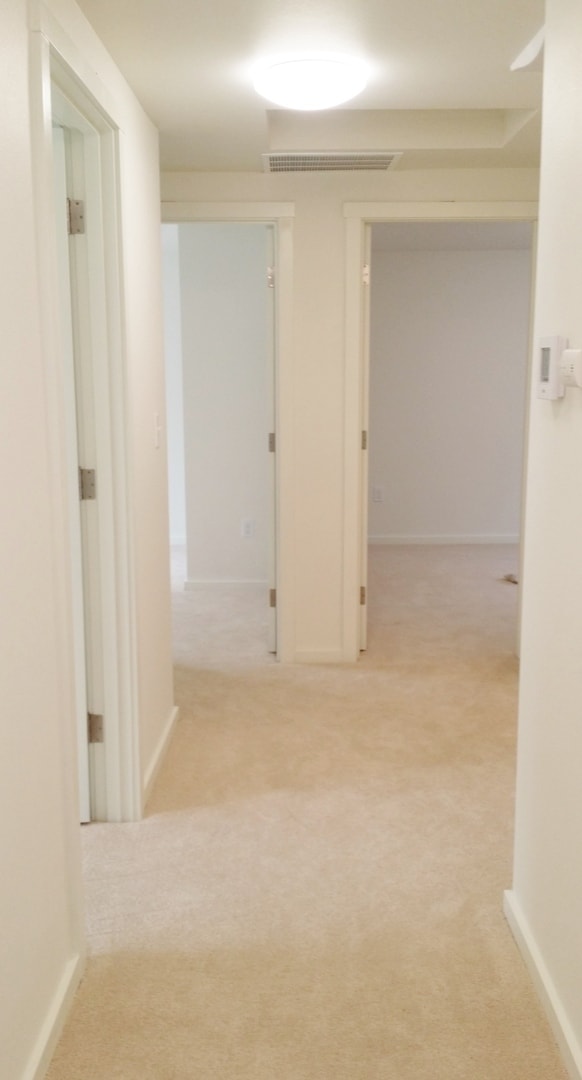 Building Photo - 3BD/1.5BA Shoreline Cottage