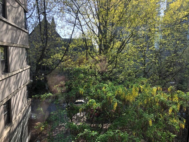 Interior Photo - Bay Ridge Court (Cobblestone Court)