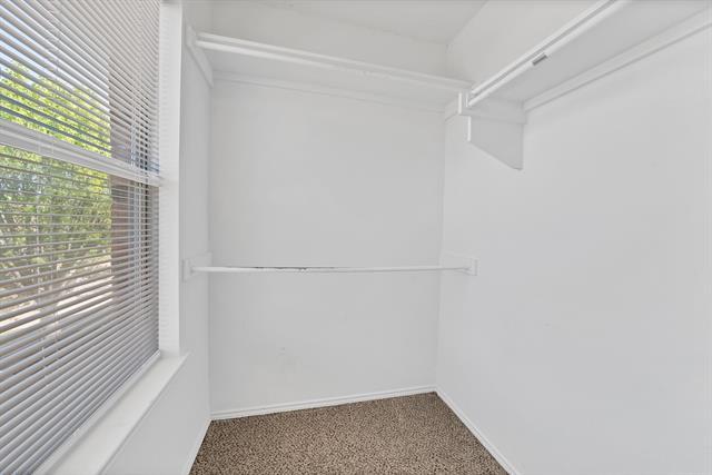 Building Photo - 115 Walnut Dr