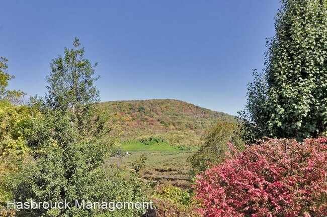 Building Photo - 3 br, 1.5 bath House - 6853 Jarmans Gap Road
