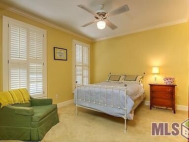 Building Photo - 225 LSU Avenue