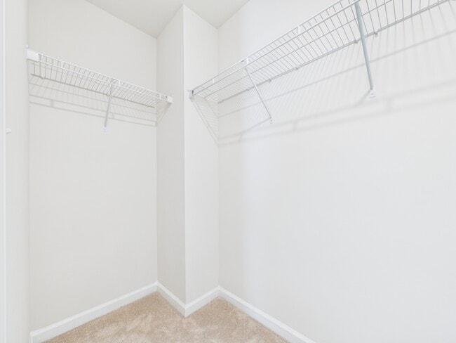 Building Photo - 5819 Soft Shell Dr