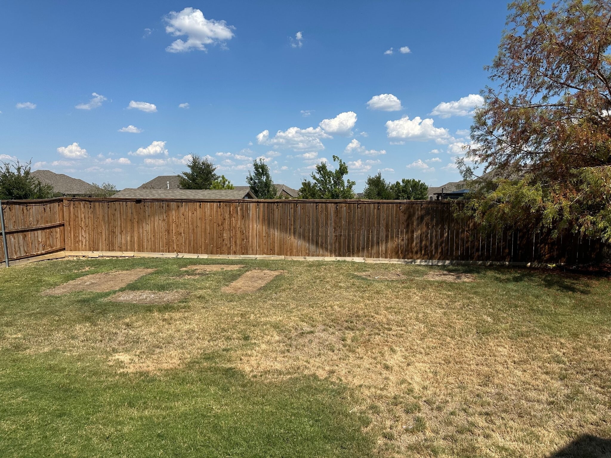 Building Photo - 3905 Applewood Ln