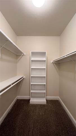 Building Photo - 517 Highpark Ct