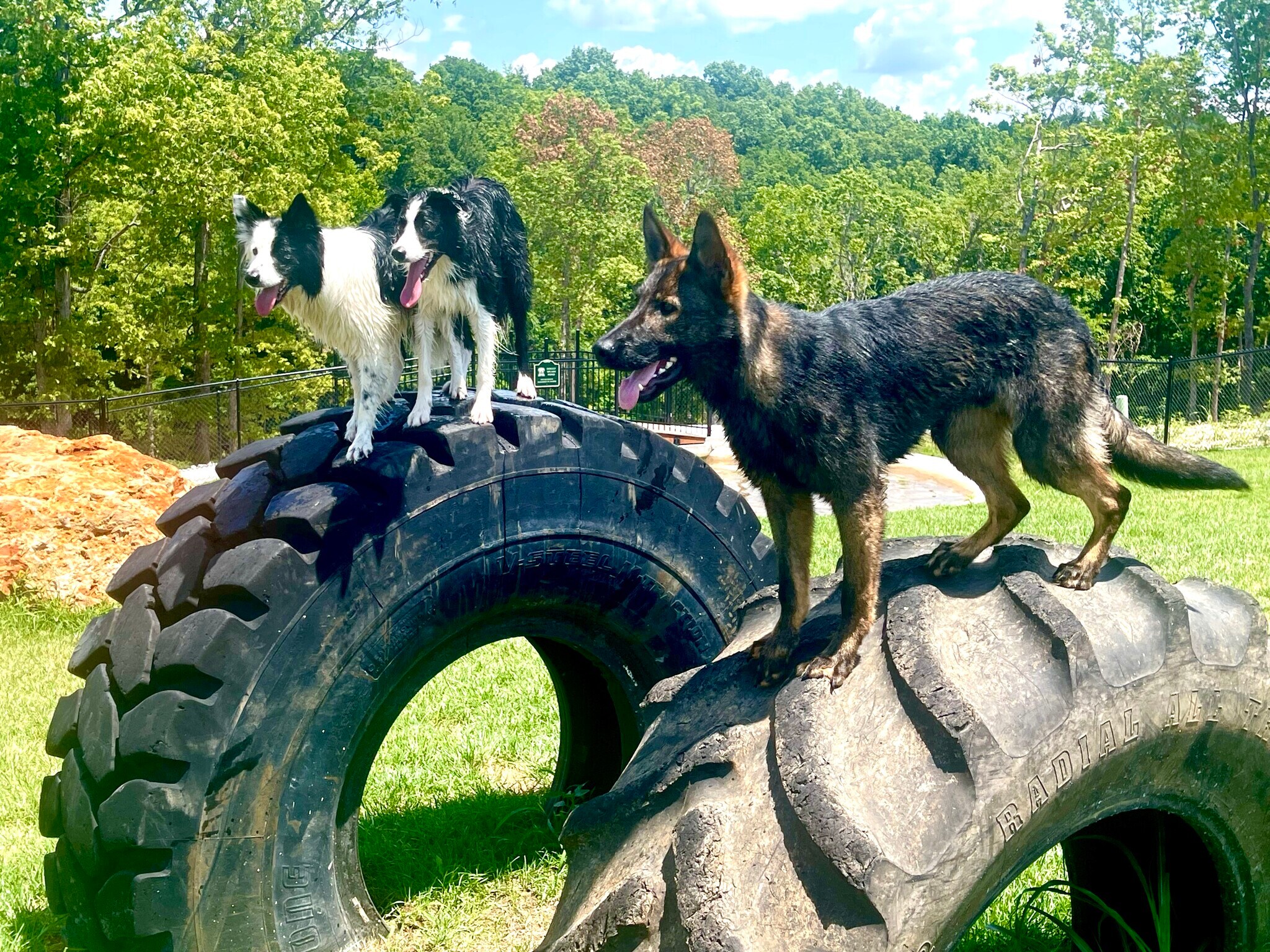 Building Photo - 110 Sierra Cir