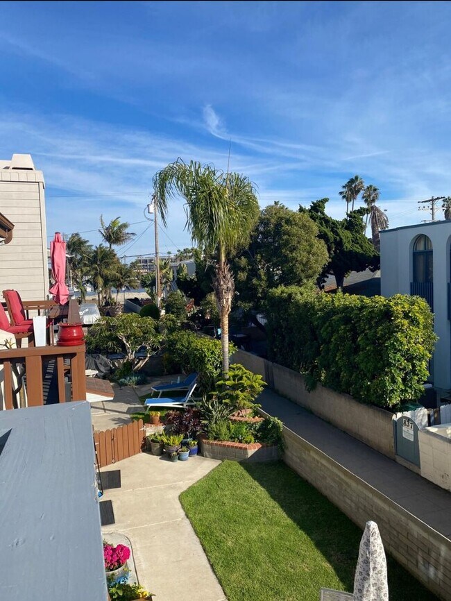 Building Photo - Newly Remodeled and Fully furnished- Mission Beach 5 bed 3 baths.