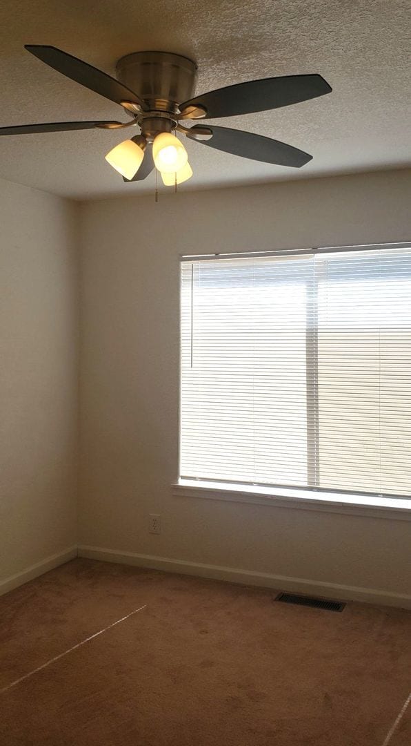 Building Photo - 3 bedroom home in Mason Valley's  Walker R...