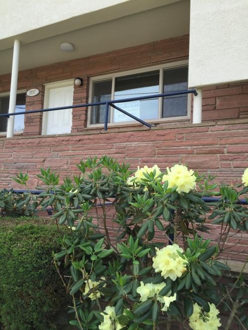 Primary Photo - 1 bedroom in Seattle WA 98199