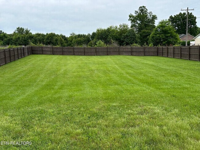 Building Photo - 1017 Brighton Dr