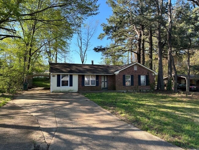 Primary Photo - Charming 4 bed 2 bath in Southaven, MS
