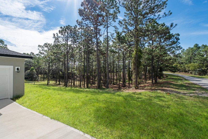 Building Photo - 9371 N Cougar Paw Dr