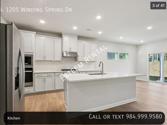 Building Photo - 1205 Winding Spg Dr
