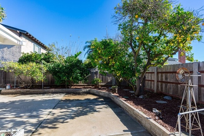 Building Photo - Newly updated Single-Story in Clairemont