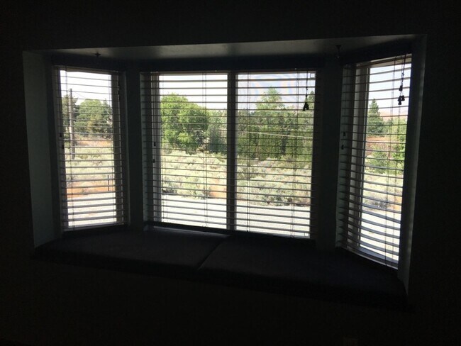 Building Photo - Reno Foothills - 1 Acre Lot Home