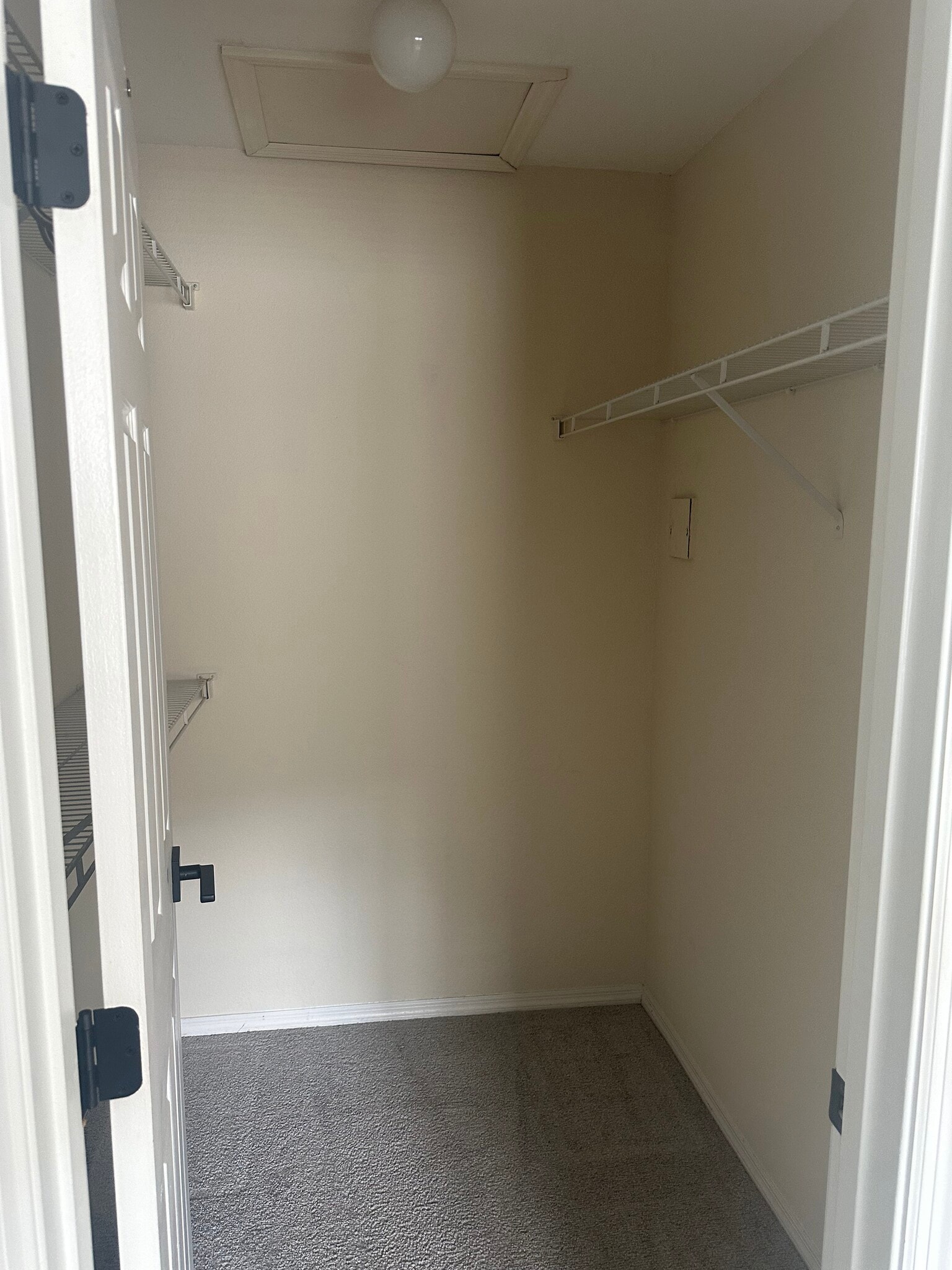 Walk in Closet - 13810 Sutton Park Dr N