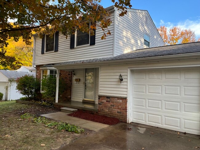 Primary Photo - 538 Langfield St