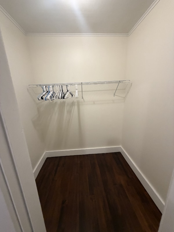 Building Photo - 170 Elm St