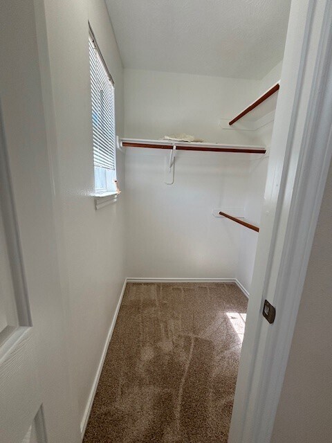 Building Photo - 6159 Morningshire Ln