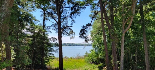 Building Photo - 35448 Windingdale Dr