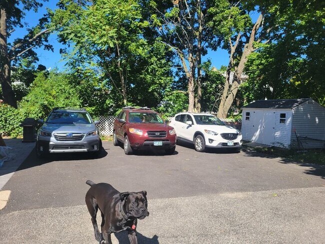 Building Photo - 107 Munroe St