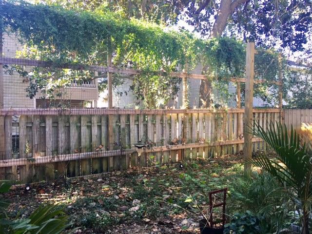 Building Photo - 31 Park Cir SE