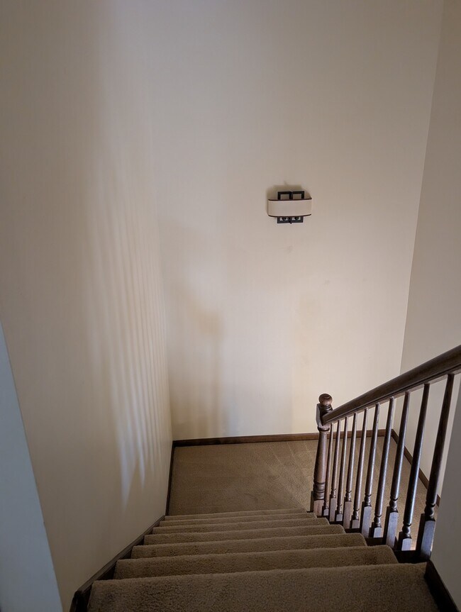 Building Photo - 1535 Wedgefield Cir