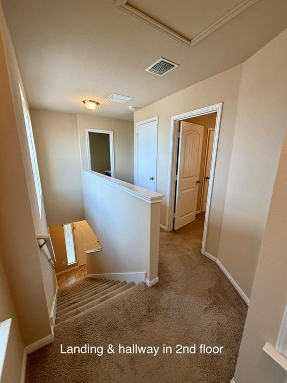 Building Photo - 2204 Langdale Ln