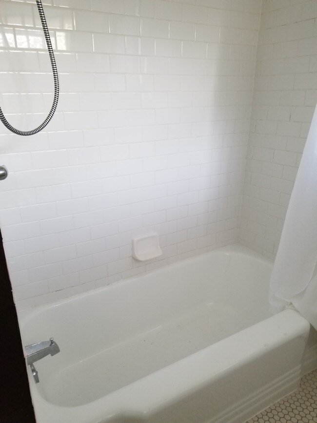 Bathtub - 741 Elmira St