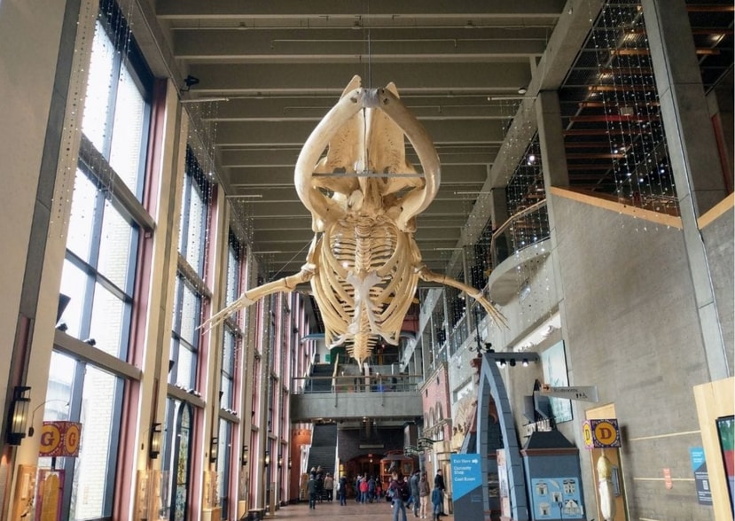 Building Photo - 700 Broadway Ave NW