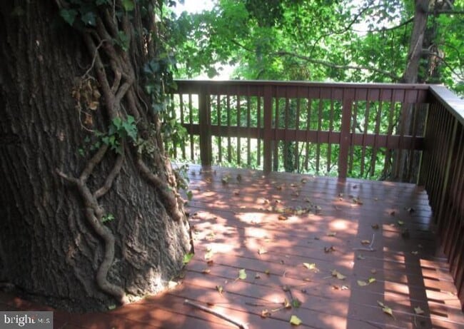 Building Photo - 2926 M St SE