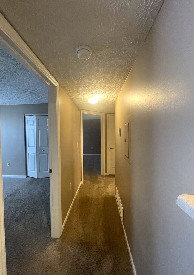 Building Photo - 5604 Cypress Chase