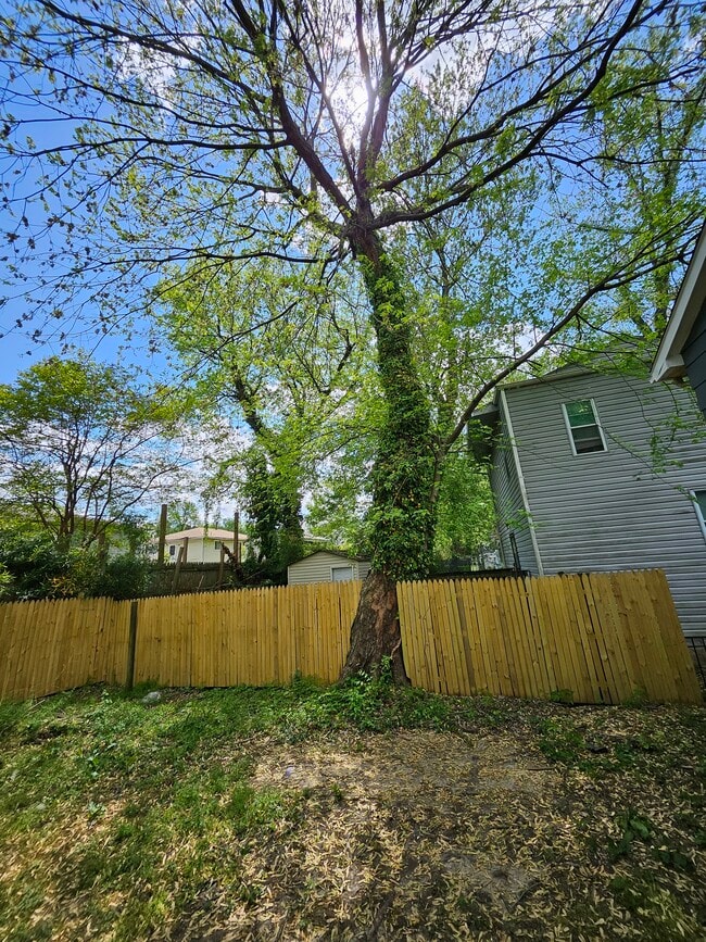 Building Photo - 906 Elfin Ave