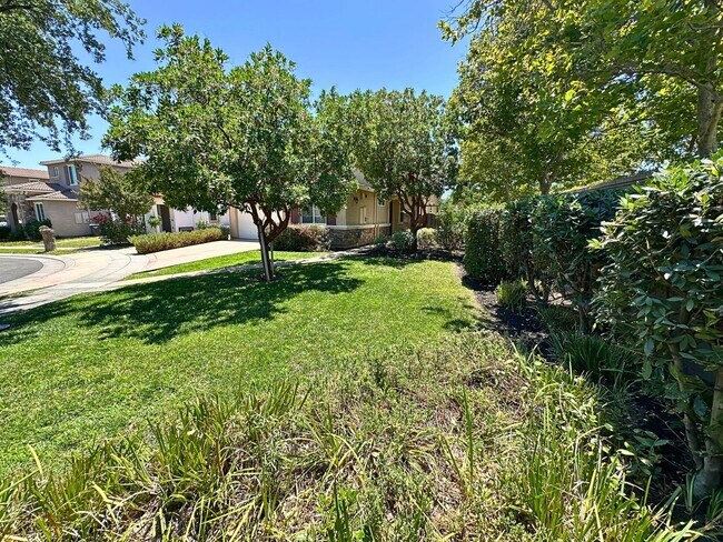 Building Photo - Stunning 4 Bedroom, 3 Bath Questa Home