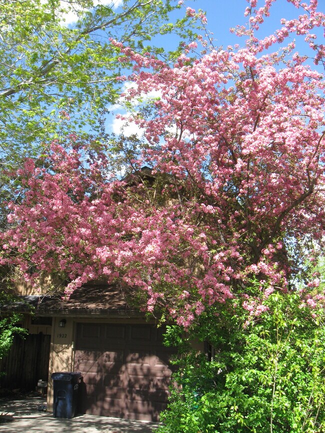 Building Photo - 2002 S Black Ave