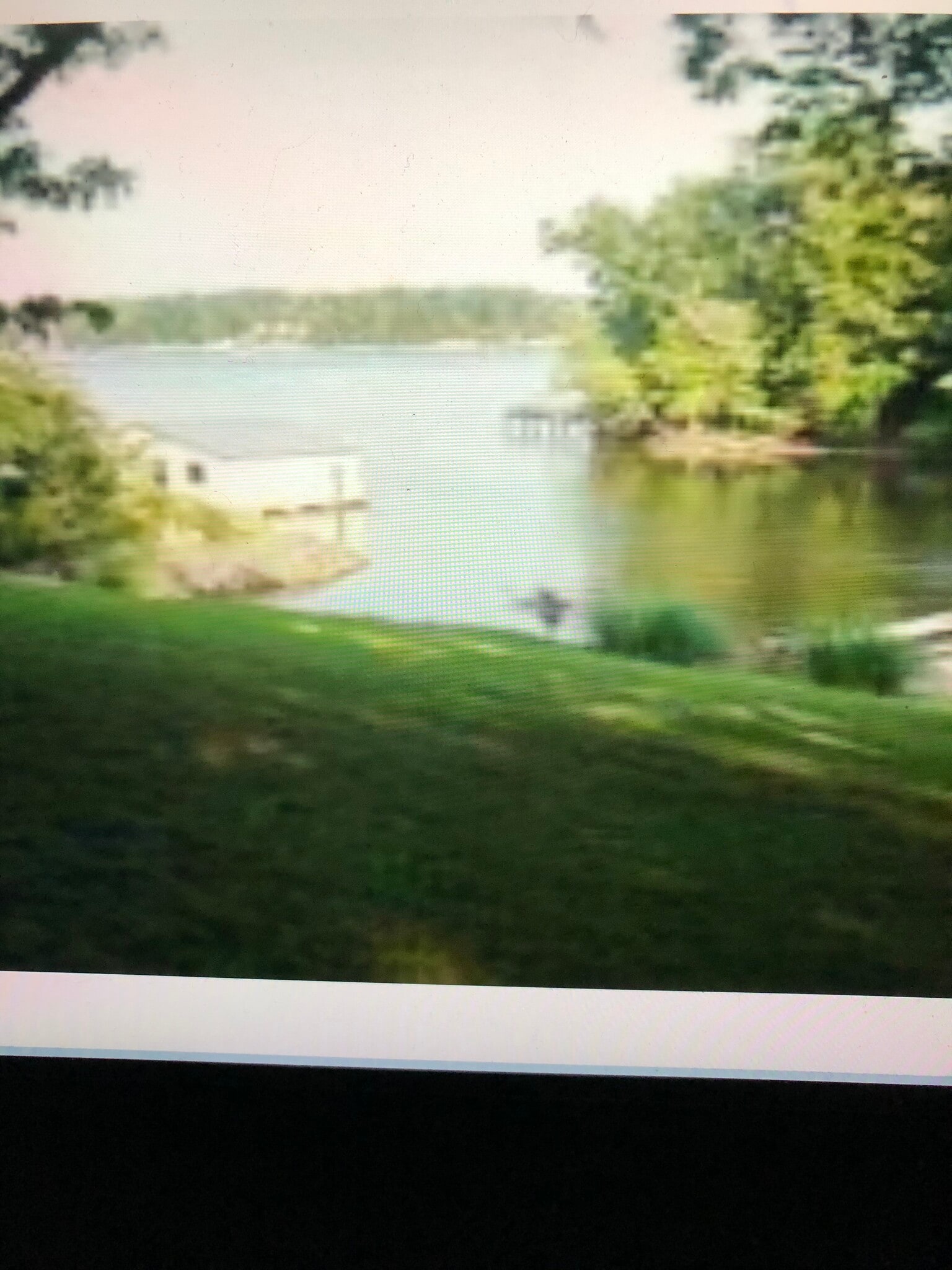 1.03 acre yard - 5221 Green Cove Rd