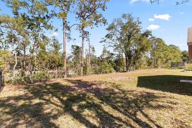 Building Photo - 4 Bedroom SFH in Palm Coast