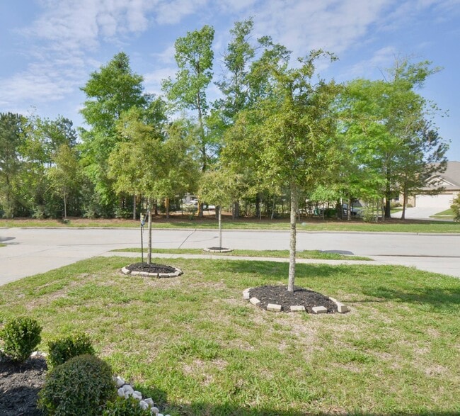Building Photo - 4114 Trenton Arbor Ln