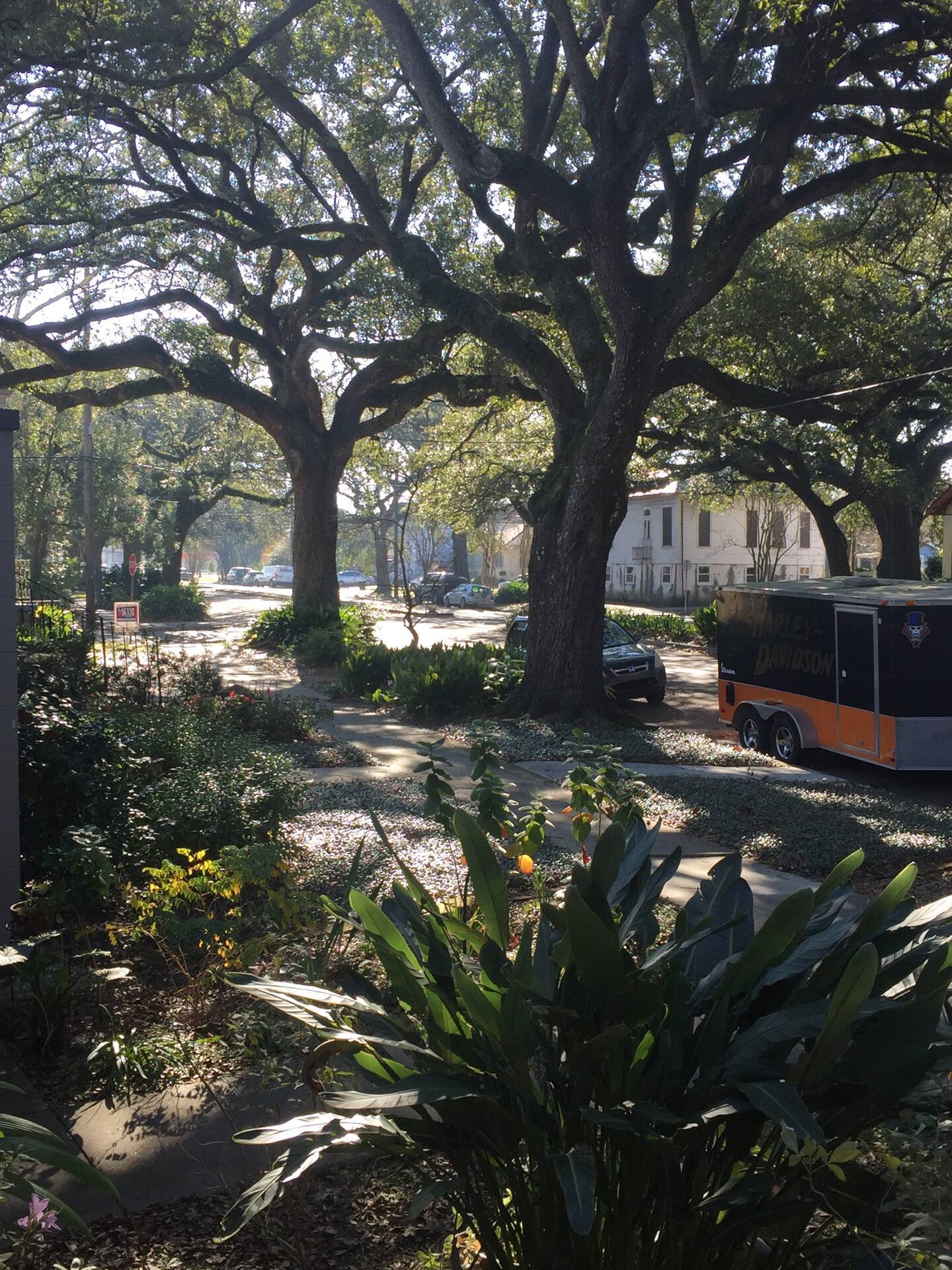 Building Photo - 2815 Ursulines Ave