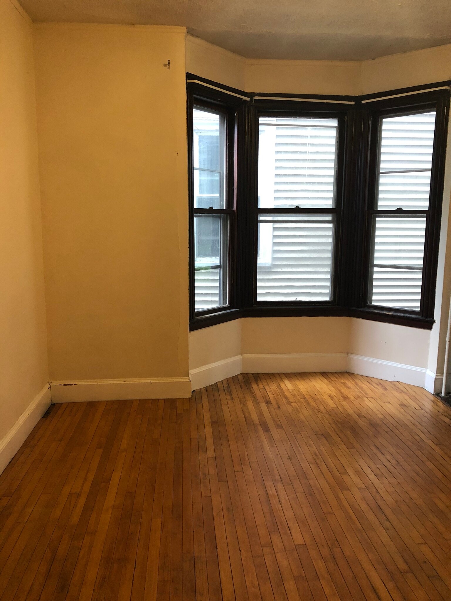 bay window in bedroom - 20 Grant St