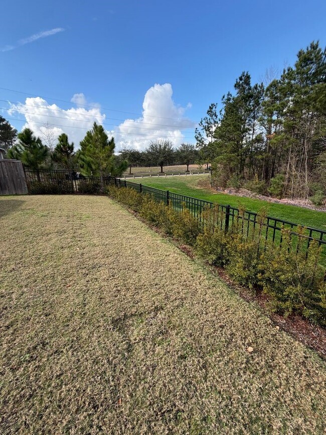 Building Photo - 107 Harlequin Duck Ct