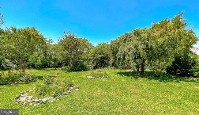 Building Photo - 23581 Belmar Dr